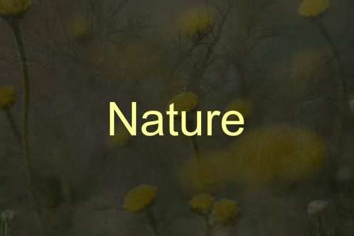 title_nature